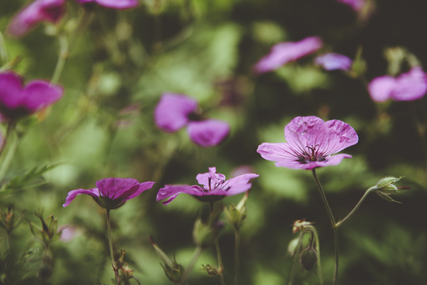 Rufus & Claire's Wedding By Shutter Go.. Click Photography-16